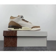 CT8532-102 Jordan Air Palomino 3 0816